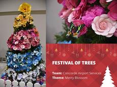 Click to view album: 2019 Festival of Trees