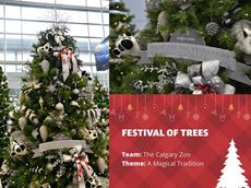 Festival of Trees_Social14