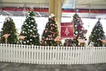 Festival of Trees: Thyme to Announce the Winner