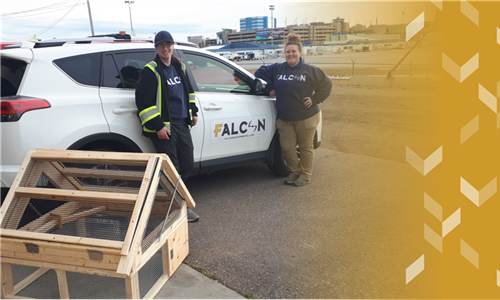 YYC welcomes FALCON Environmental to the field